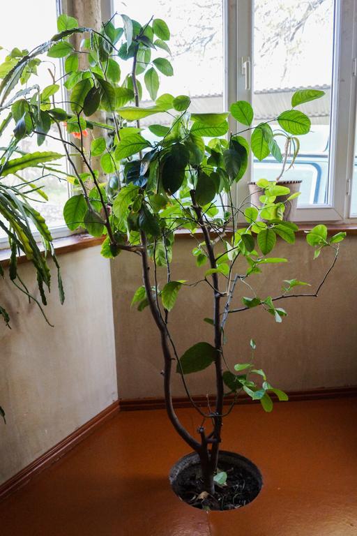 Areni House B&B Екстериор снимка
