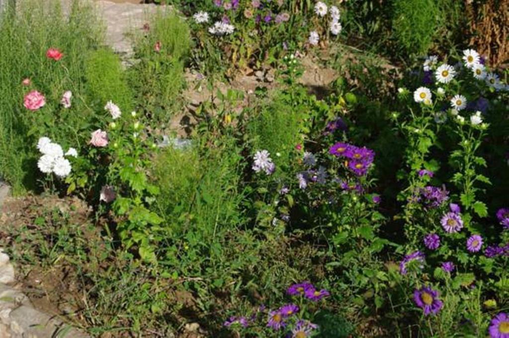 Areni House B&B Екстериор снимка